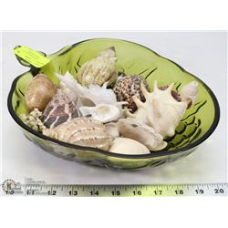 COLLECTION OF SEA SHELLS IN DECORATIVE GLASS DISH