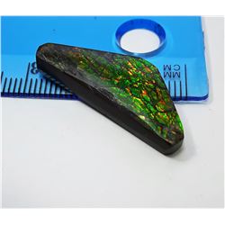 17 - GREEN FIRE AMMOLITE GEMSTONE
