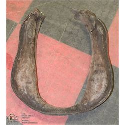 VINTAGE HORSE COLLAR ON CHOICE