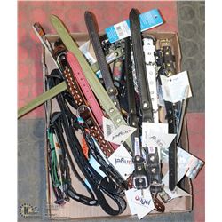 FLAT OF NEW DOG COLLARS ON CHOICE