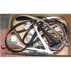 BOX OF ASSORTED DOG LEASHES. PETS