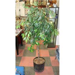 ARTIFICIAL FLOOR PLANT