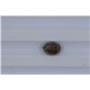 2.95ct Natural Brown red diamond Brolite with hole  cut