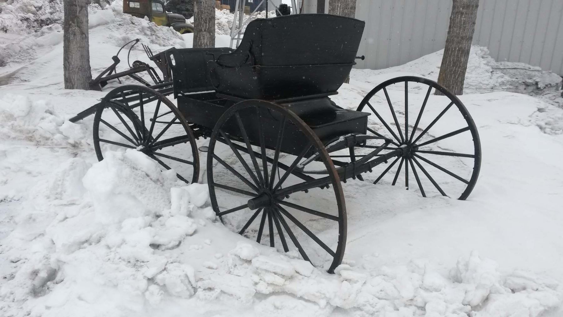 1 Horse Buggy