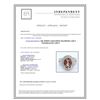 Image 3 : TOURMALINE 4.09CT 14K WHITE GOLD RING 7.92GRAM DIAMOND 1.44CT
