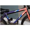 Image 2 : PROTOUR BIKE