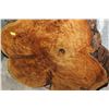 Image 2 : LARGE BURL SLAB