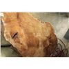 Image 3 : LARGE BURL SLAB