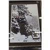 Image 1 : SNOW SPIRIT-COUGAR BY TERRY ISAAC #24238