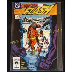 DC Flash #7