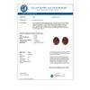 Image 3 : 7 CTW Garnet Designer Inspired Solitaire Stud Earrings 18K Yellow Gold - REF-34F9N - 21664
