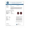 Image 3 : 7 CTW Garnet Designer Inspired Solitaire Stud Earrings 14K Rose Gold - REF-27X6T - 21662