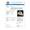 Image 3 : 2.5 CTW Certified Si/I Fancy Intense Yellow Diamond Solitaire Halo Ring 10K Rose Gold - REF-260W2F -
