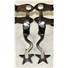 Image 1 : Shop Made Spurs
