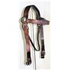 Image 1 : R.T. Frazier Headstall