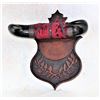 Image 1 : Buffalo Horn Wall Rack