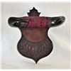 Image 2 : Buffalo Horn Wall Rack