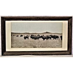 Huffman Photograph