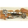 Image 2 : McChesney Style Spurs