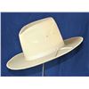 Image 1 : Cowboy Hat