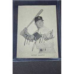 Graded Baseball Cards