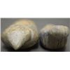 Image 8 : TWO PUEBLO STONE FETISHES