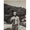 Image 4 : Truman Capote