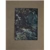 Image 2 : Arthur Rackham