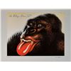 Image 2 : Rolling Stones