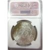 Image 3 : 1884-O Morgan Silver Dollar  NGC MS65+