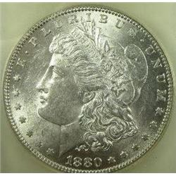 1880-O  micro o Morgan Silver Dollar  USCG MS