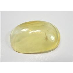 2.31 ct. Sea Shell Opal from Australia  rare