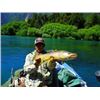 Image 1 : Argentina Fly Fishing Trip