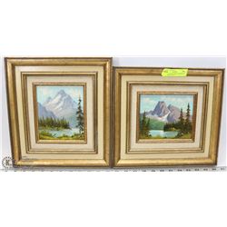 2 OIL PAINTINGS MINT ABERDEEN PARADISE VALLEY