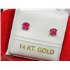 Image 2 : 14) 14K GOLD RUBY EARRINGS