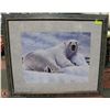 Image 1 : POLAR BEAR FRAMED PRINT 38 X 33