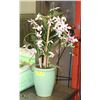 Image 1 : DECORATIVE SILK ORCHID PLANT 24" TALL