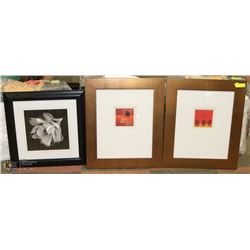 LOT OF 3 FRAMED ARTWORK INCL FLOWERS AND LEAVES