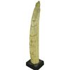 Image 2 : NW Coast Bone Totem