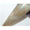 Image 8 : Sioux-Style Beaded & Quilled Horn Cup