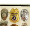 Image 3 : Western Badge Display