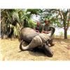 Image 2 : Free Range 9-Day, 1x1 Cape Buffalo Hunt in the famous Selous Game Reserve, Tanzania