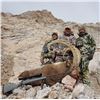 Image 2 : Mid-Asian Ibex Hunt