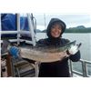 Image 1 : British Columbia – One day of Salmon Fishing or Whale watching for up to 4 People from Prince Rupert