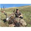 Image 6 : Sundown Outfitting – Alberta Non-resident Mule Deer Hunt