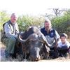 Image 4 : South African Kalahari - 7 Days, Six Animals including Zebra, Gemsbok For 2 – 3 Hunters