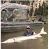 Image 3 : BC Sturgeon Fishing for Three - River Monster Adventures