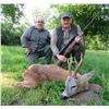 Image 7 : Serbia – Your Choice of Roe Deer or Wolf - with Two Touring Days