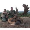 Image 8 : Serbia – Your Choice of Roe Deer or Wolf - with Two Touring Days