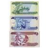 Image 2 : Solomon Islands Monetary Authority, 1971, 1981 ND Issue Trio with Matching Serial Numbers.